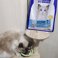 专注布偶猫的猫粮