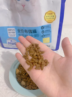 专注布偶猫的猫粮