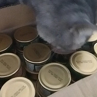 ￼￼珍致猫罐头猫零食成猫幼猫罐头85g*24罐 原装进口金罐金枪鱼口味礼盒￼￼