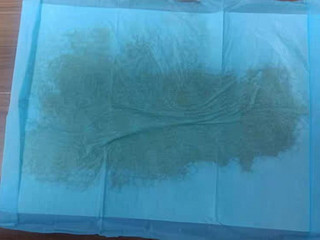 狗狗尿垫尿片宠物用品吸水垫一次性泰迪尿不湿加厚100片包邮尿布