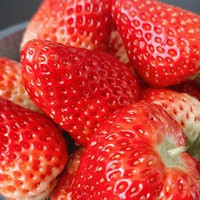 营养满满的草莓，建议多吃
