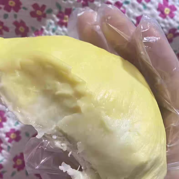 现代教育出版社榴莲