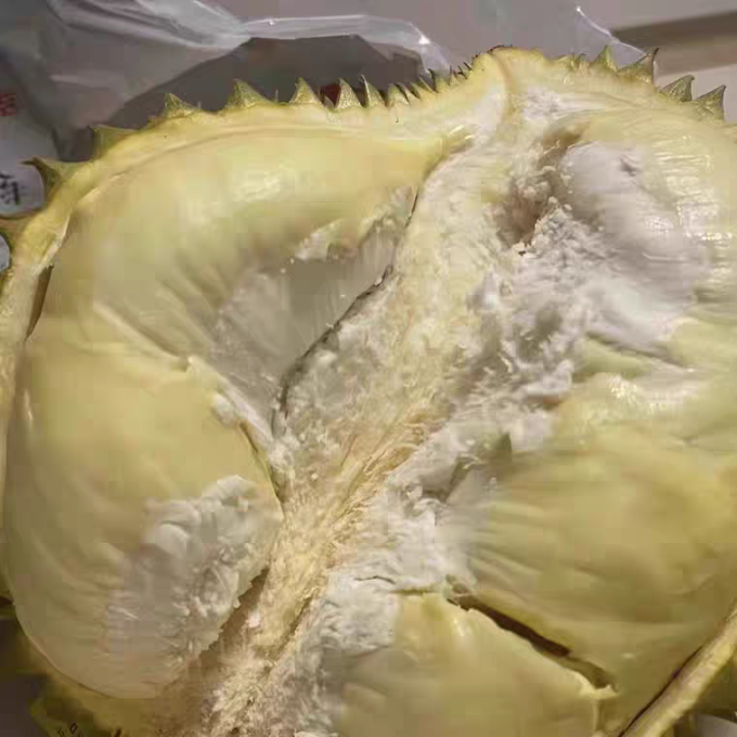 现代教育出版社榴莲
