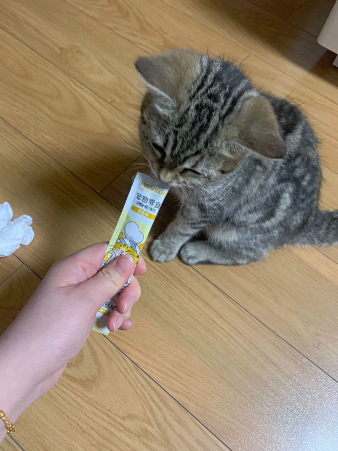 里兜猫咪零食罐/妙鲜包