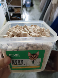 猫咪真的爱吃