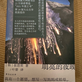 推荐,去年的豆瓣最佳外文小说《明亮的夜晚》