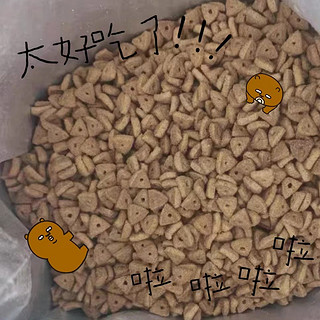 肉粉粮也有好猫粮!平价猫粮推荐!