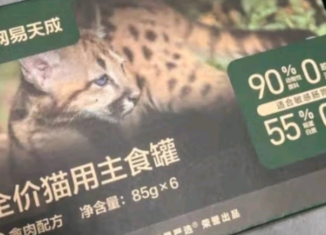 用爱点亮光明之路