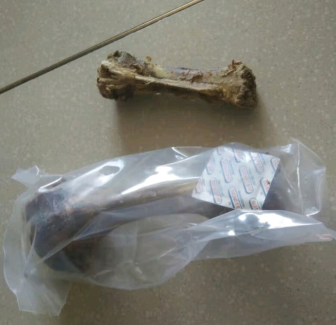 蒙贝猫咪磨牙洁齿