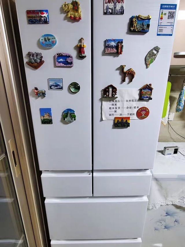 皮薄馅大，原装进口的日立冰箱五一到了