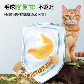 科学养猫，别忘了排毛！