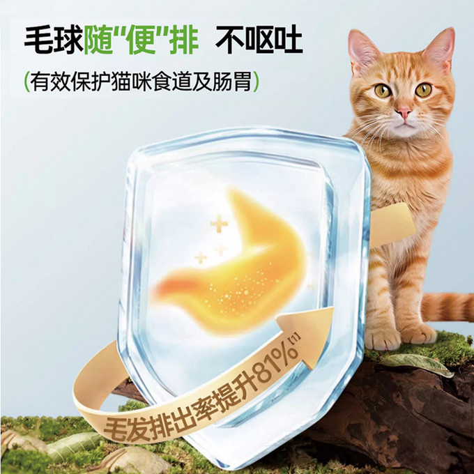 猫咪冻干零食