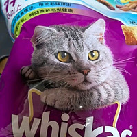 伟嘉宠物猫粮成猫全价粮布偶蓝猫加菲猫咪室内猫海洋鱼口味1.4KG