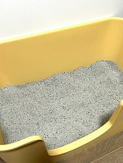 无尘猫砂才是小猪咪上厕所的正确打开方式