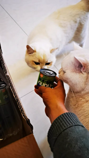 猫星人自己的“饮料”