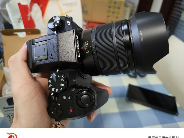 松下M43变焦镜头12-60晒单分享
