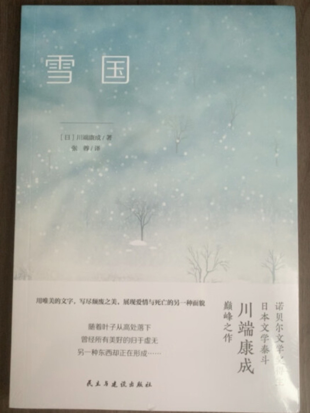 雪国1965版图片