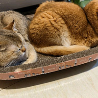 珍宠星球 猫抓板大号60cm瓦楞纸窝碗形猫窝宠物猫玩具磨爪器可玩可躺