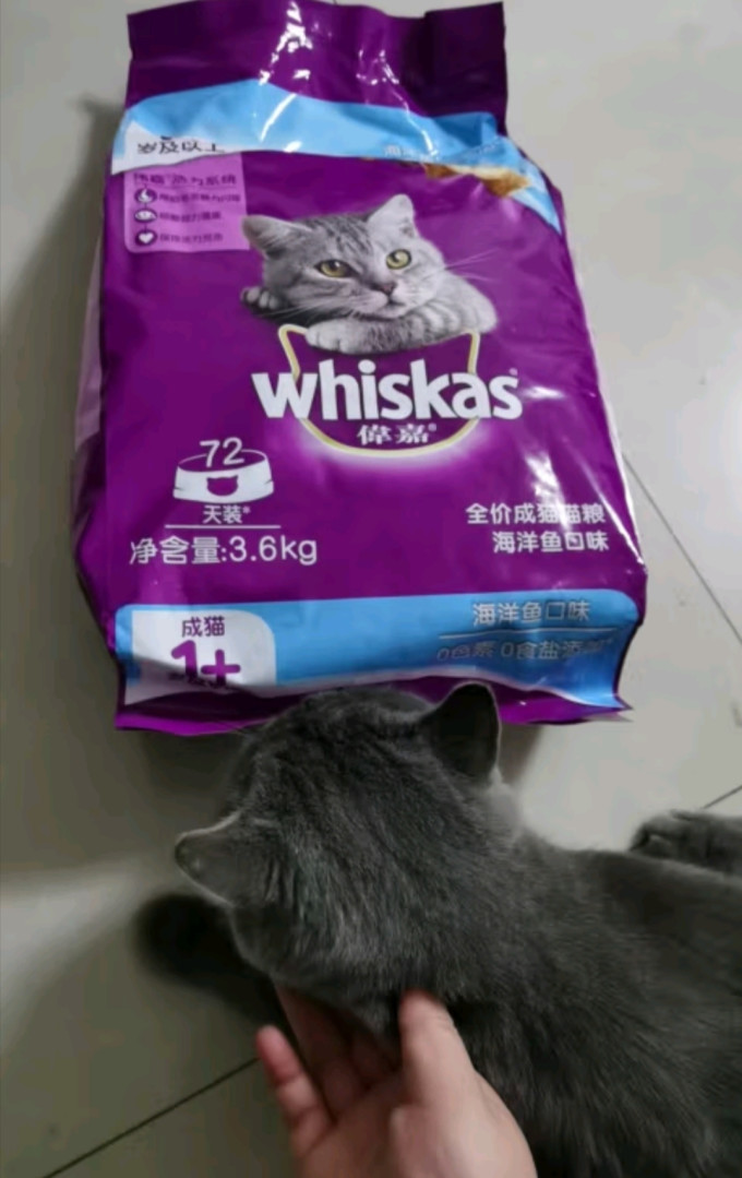 伟嘉猫咪干粮