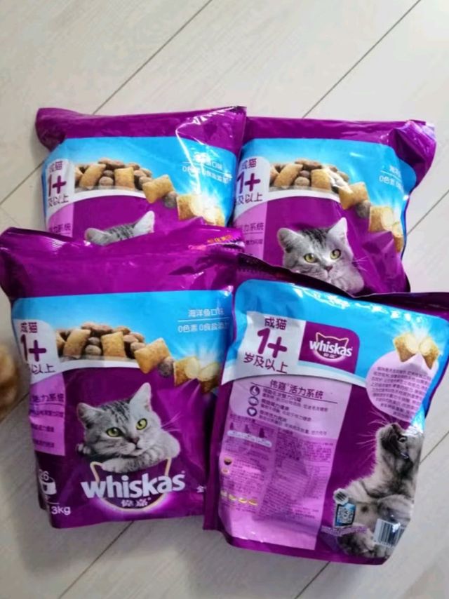 可爱猫咪的食物（2）