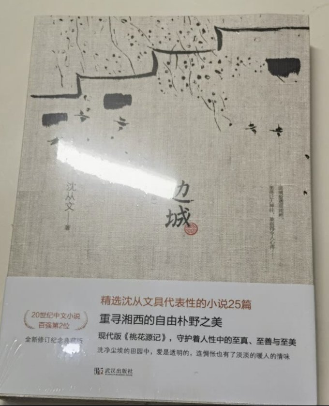 武汉出版社小说