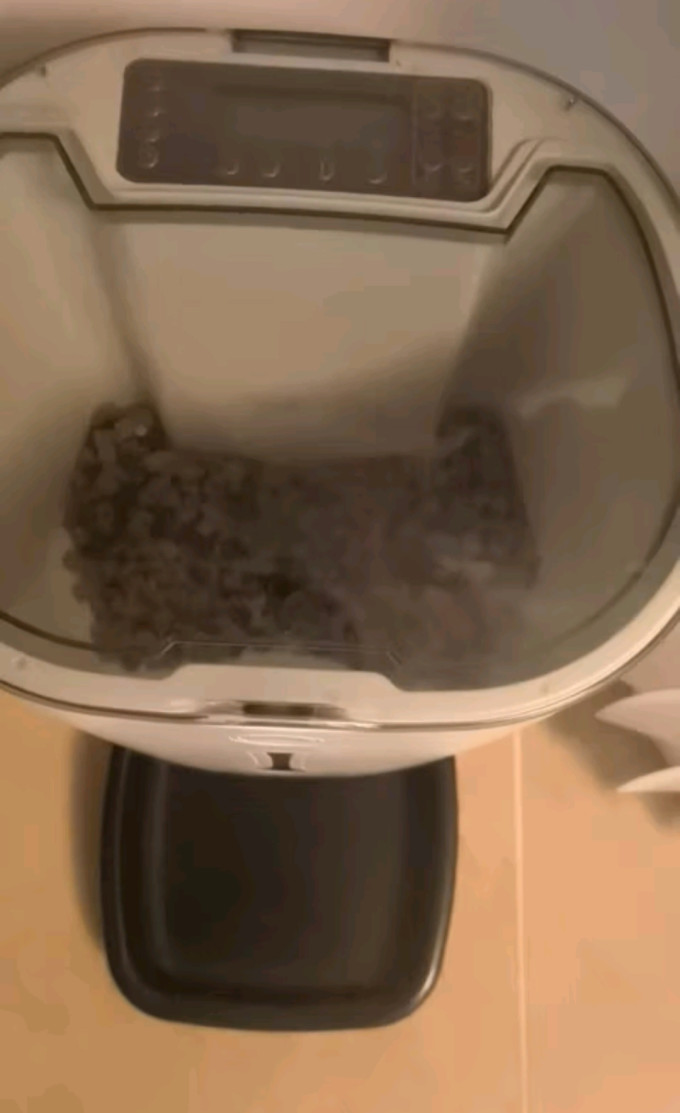 海洋之星猫咪干粮