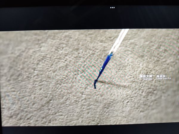 我的观影之——无双