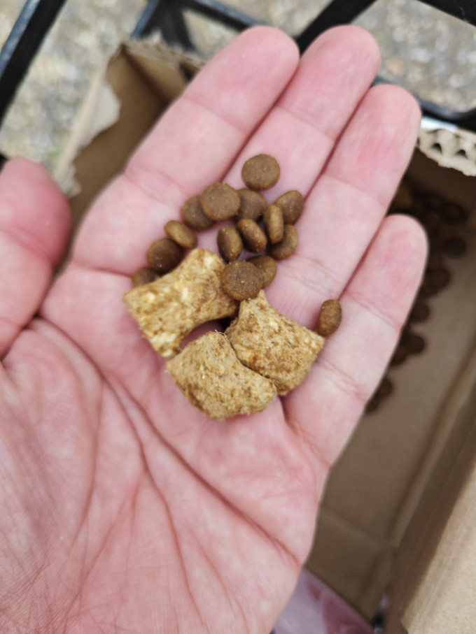 麦富迪猫咪干粮