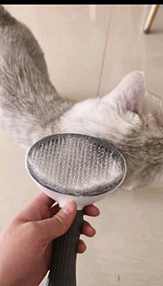 茨格曼猫梳子梳毛刷猫咪去浮毛猫毛清理器除毛器针梳狗狗梳子宠物用品