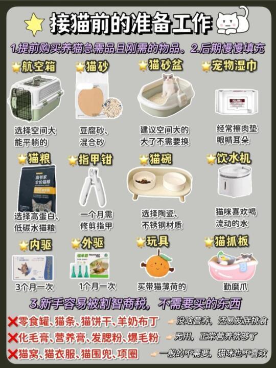 新手接猫超全攻略❗教大家如何平价养猫