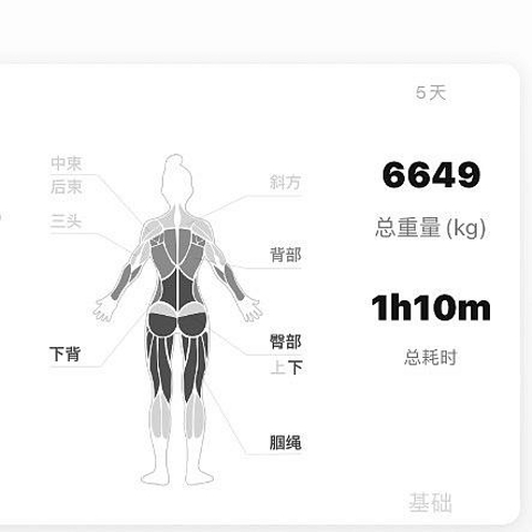 臀围涨至1米的训练笔记，总容量6649kg，这个容量还行吗？