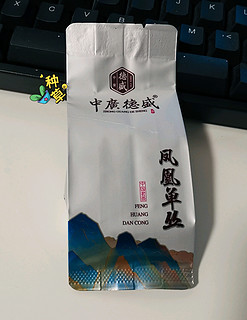 试试这款凤凰单丛究竟如何