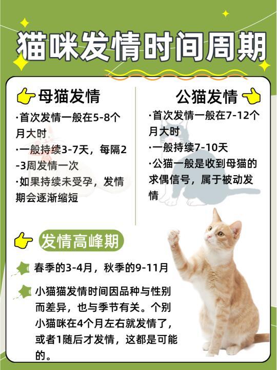 科学处理：猫咪发情看过来！