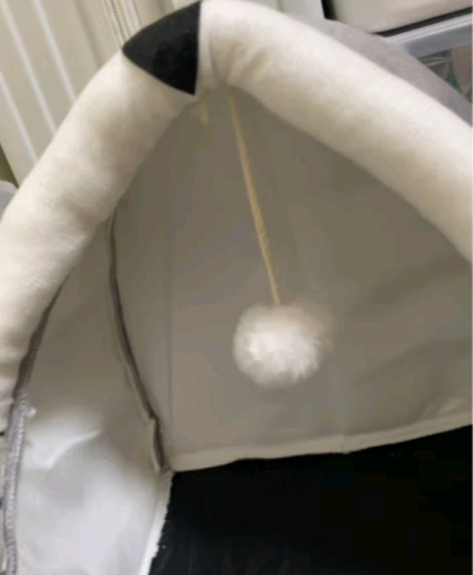宠爱力猫狗窝