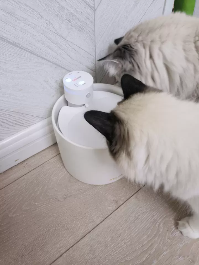 梦享家通用食具水具