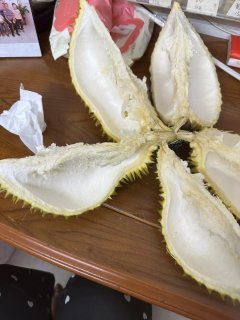 榴莲控必备！