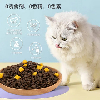 挑剔的猫咪也能满意的好猫粮