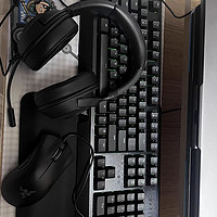 Razer雷蛇黑寡妇蜘蛛标准版104键背光电竞电脑游戏有线机械键盘