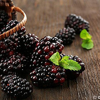 营养满满的黑莓，多吃吧