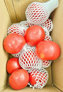 18元一大箱，普罗旺斯西红柿，小时候的味道！