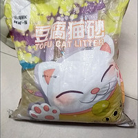流浪猫救助协会，豆腐猫砂让猫咪爱干净