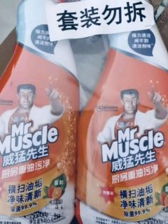 厨房油污终结者：威猛先生