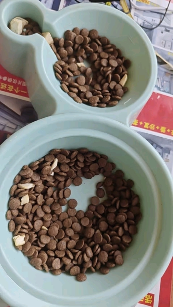 猫咪干粮