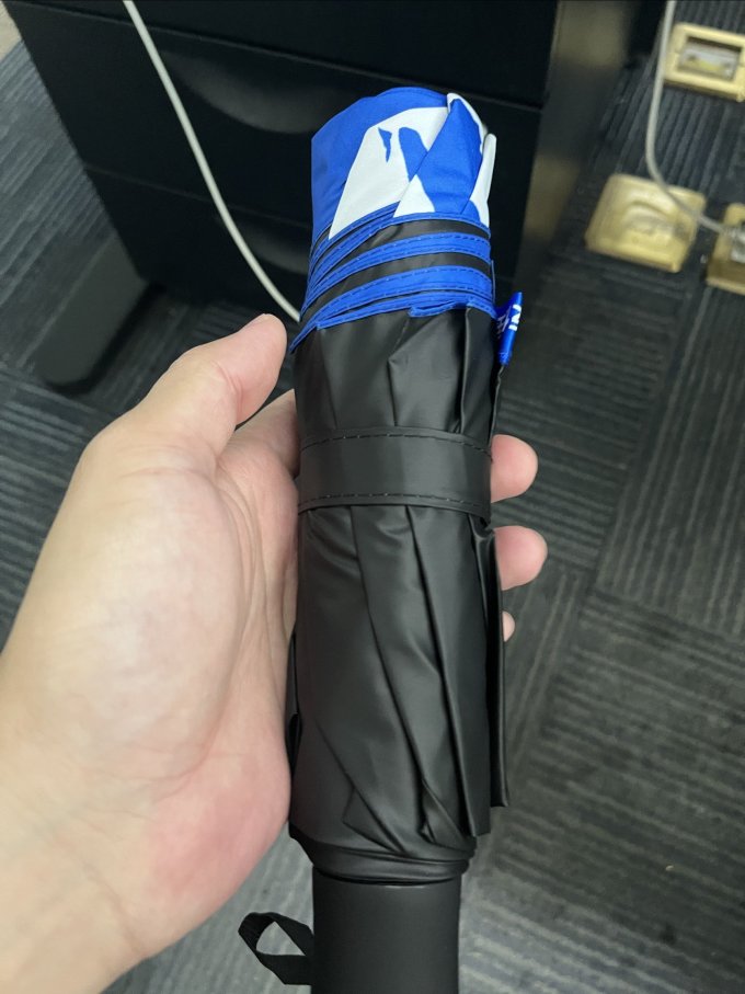 天堂伞雨伞