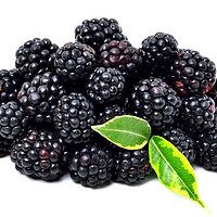 黑莓营养棒，多吃更健康