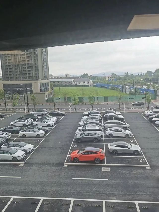 乐道这价格，估计又悬了