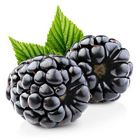 吃黑莓，健康又美味