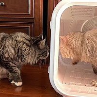 霍曼宠物烘干箱猫咪自动吹干机家用洗澡吹毛烘干神器吹风吹水狗狗
