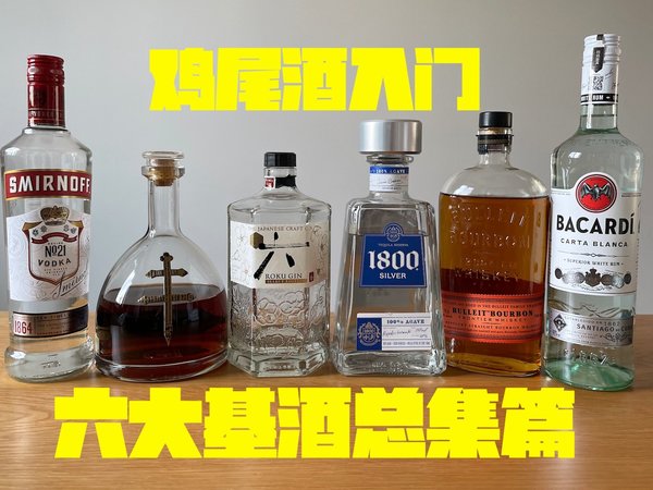 【鸡尾酒入门3.33】妈妈再也不用担心我看不懂酒单了！野生调酒师的鸡尾酒入门小课堂！六大基酒总集篇