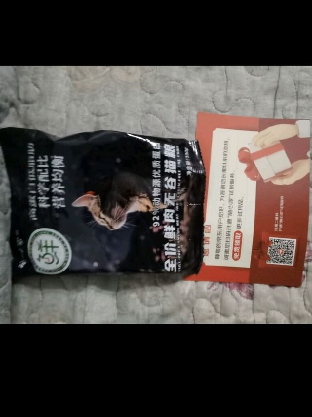 可爱猫咪的猫粮